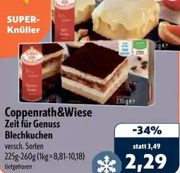 Aktiv Irma Coppenrath&Wiese Zeit für Genuss Blechkuchen Angebot