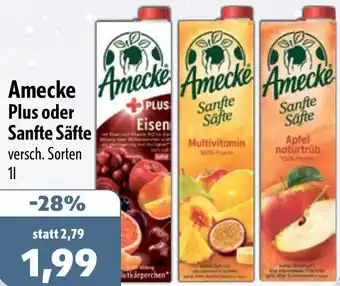 Aktiv Irma Amecke Plus oder Sanfte Säfte Angebot