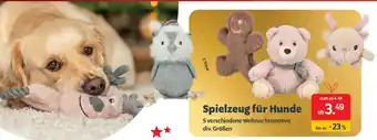 Das Futterhaus Spielzeug für Hunde Angebot