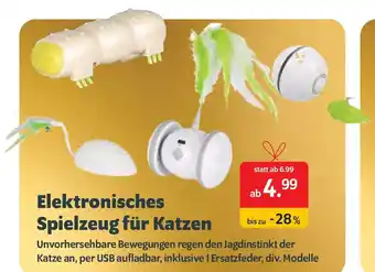 Das Futterhaus Elektronisches Spielzeug für Katzen Angebot
