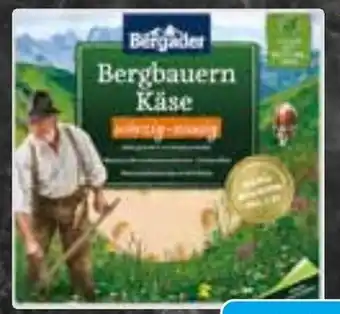 HIT Bergader Bergbauern Käse Angebot