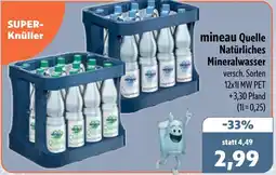 Aktiv Irma mineau Quelle Natürliches Mineralwasser Angebot
