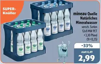 Aktiv Irma mineau Quelle Natürliches Mineralwasser Angebot