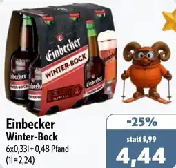 Aktiv Irma Einbecker Winter-Bock Angebot