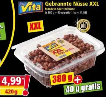 Norma Vita Gebrannte Nüsse XXL Angebot