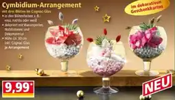 Norma Cymbidium-Arrangement Angebot