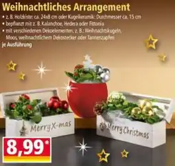 Norma Weihnachtliches Arrangement Angebot