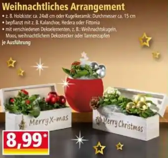 Norma Weihnachtliches Arrangement Angebot