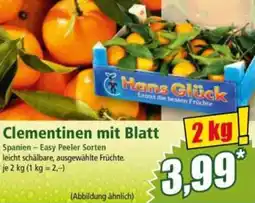 Norma Clementinen mit Blatt Angebot