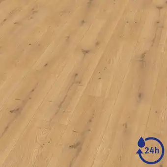 toom Baumarkt EGGER Laminat 'NatureSense Aqua' EL2009 Predaia Eiche honig 8 mm Angebot