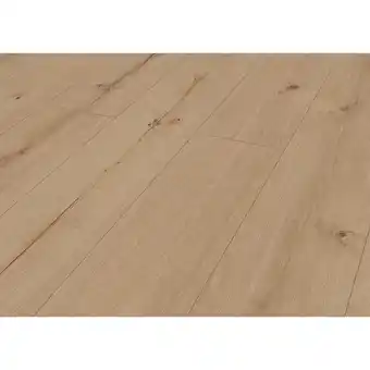 toom Baumarkt Classen Vinylboden 'Green Vinyl XL' Risseiche beige 4 mm Angebot