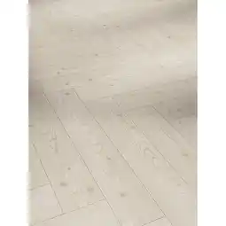 toom Baumarkt Parador Laminat 'Trendtime 3' Lärche Yukon seidenmatt weiß 8 mm Angebot