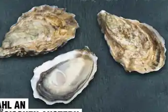 Handelshof Austern Angebot