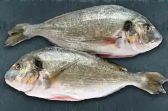 Handelshof Dorade Royale Angebot