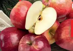 Handelshof Tafeläpfel Red Chief Angebot