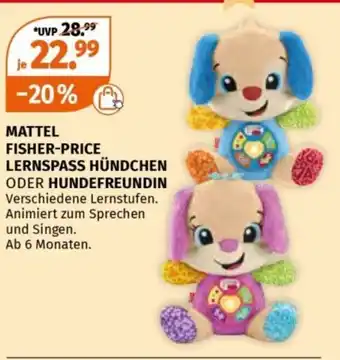 Müller MATTEL FISHER-PRICE LERNSPASS HÜNDCHEN ODER HUNDEFREUNDIN Angebot