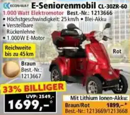 Norma Econ-way E-Seniorenmobil CL-30ZR-60 Angebot