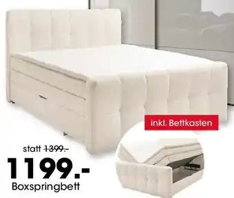Möbel Martin MONDO Boxspringbett Angebot