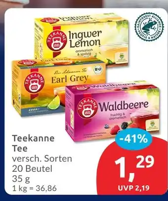 Budni Teekanne ingwer lemon Angebot