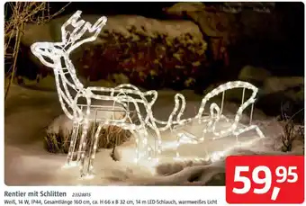 Bauhaus Rentier mit Schlitten Angebot