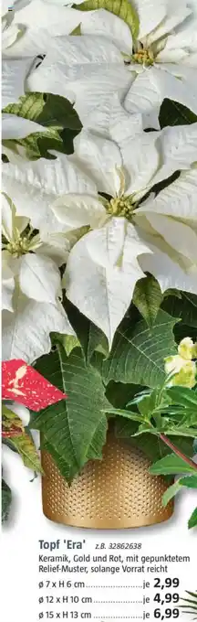 Bauhaus Topf 'Era' Angebot