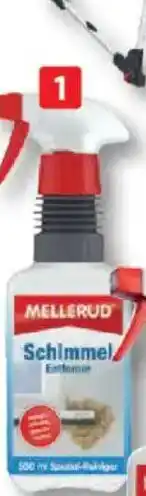 Bauhaus Schimmel- Entferner Angebot