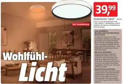 Bauhaus Deckenleuchte 'Jupiter' Angebot