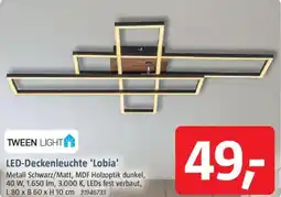 Bauhaus TWEEN LIGHT LED-Deckenleuchte 'Lobia' Angebot