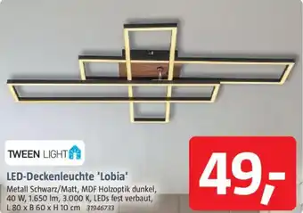 Bauhaus TWEEN LIGHT LED-Deckenleuchte 'Lobia' Angebot