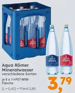 Globus Baumarkt Aqua Römer Mineralwasser Angebot