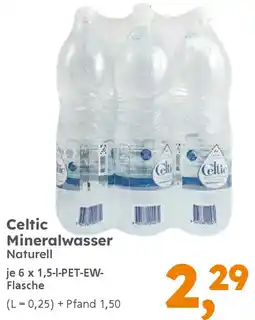Globus Baumarkt Celtic Mineralwasser Angebot