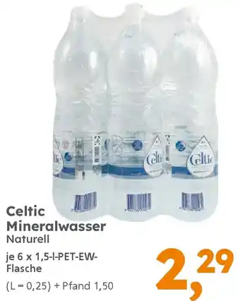 Globus Baumarkt Celtic Mineralwasser Angebot