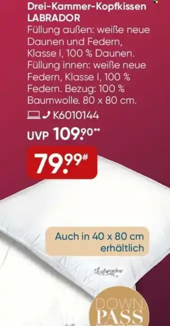 Galeria Sleepwell Drei-Kammer-Kopfkissen LABRADOR Angebot