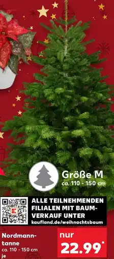 Kaufland Nordmanntanne Angebot