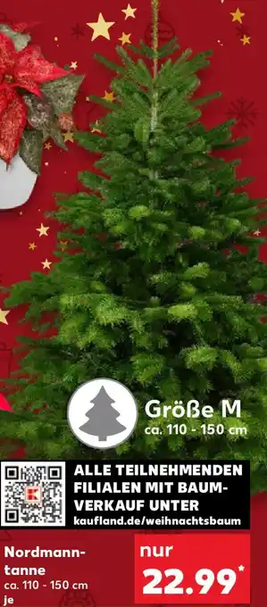 Kaufland Nordmanntanne Angebot
