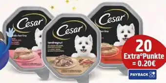WEZ Cesar Hundenahrung Angebot