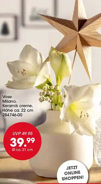 Möbel Martin LEONARDO Vase Milano Angebot