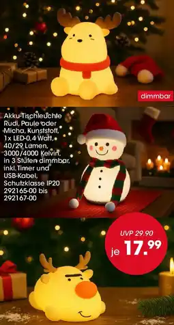 Möbel Martin Akku-Tischleuchte Angebot