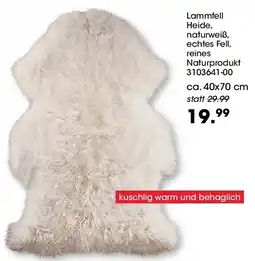 Möbel Martin Lammfell Heide Angebot