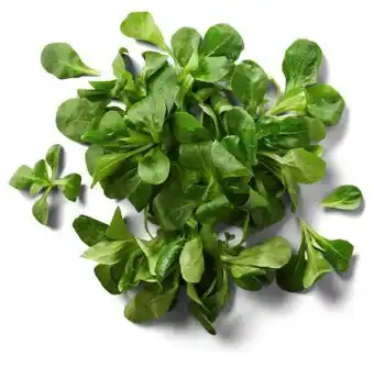 Kaufland Feldsalat Angebot