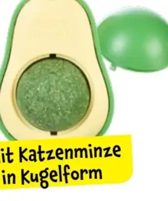 TEDi Katzenspielzeug Avocado Angebot