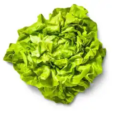 Kaufland Kopfsalat Angebot