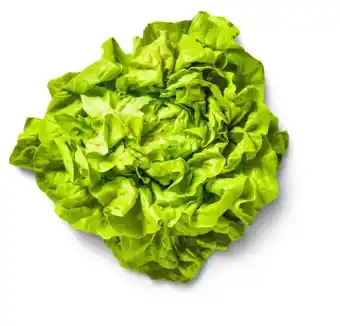 Kaufland Kopfsalat Angebot