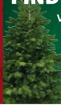 Kaufland Weihnachtsbaum Angebot