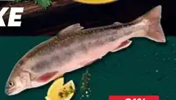 Kaufland Ausgenommener Saibling Angebot