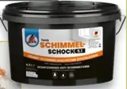 Kaufland Tonis Schimmel Schock Desinfizierende Antischimmelfarbe Angebot