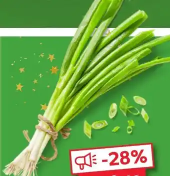 Kaufland Lauchzwiebeln Angebot