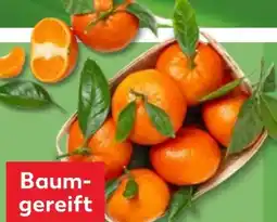 Kaufland Blatt-Clementinen Angebot
