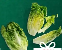 Kaufland Mini-Romanasalat Angebot