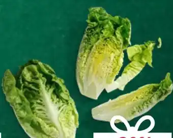 Kaufland Mini-Romanasalat Angebot